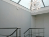 wentweg11